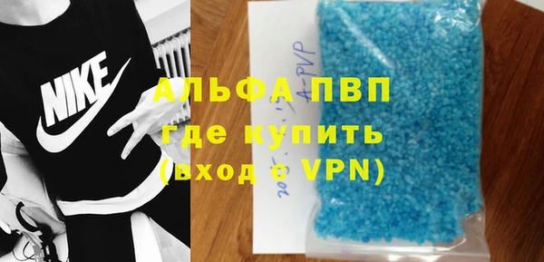 сатива Бородино