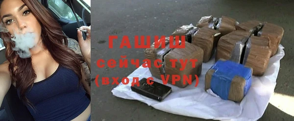 сатива Бородино