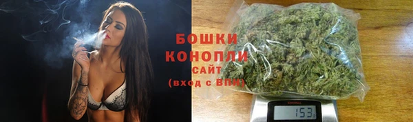 сатива Бородино