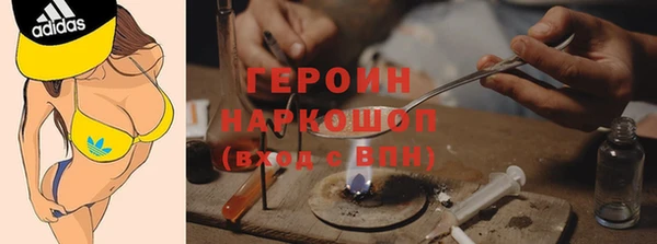 сатива Бородино