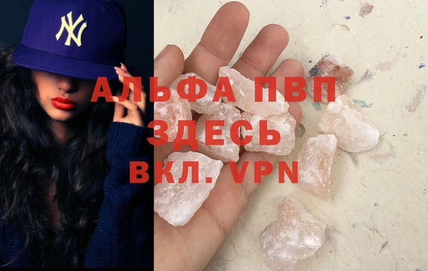 сатива Бородино