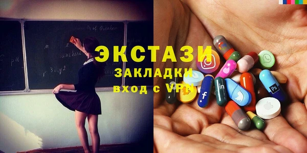 сатива Бородино