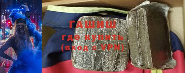 сатива Бородино