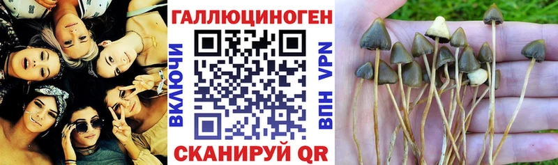 Псилоцибиновые грибы прущие грибы  дарк нет клад  Вилючинск 